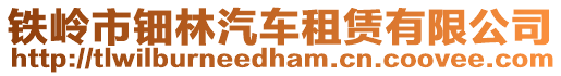 鐵嶺市鈿林汽車租賃有限公司