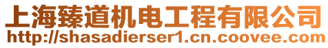 上海臻道機(jī)電工程有限公司