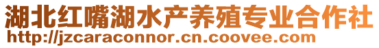 湖北紅嘴湖水產(chǎn)養(yǎng)殖專業(yè)合作社