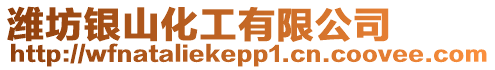 濰坊銀山化工有限公司