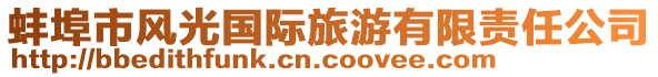 蚌埠市風光國際旅游有限責任公司
