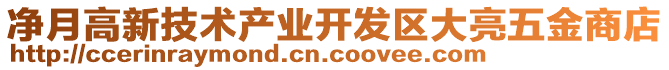 凈月高新技術(shù)產(chǎn)業(yè)開發(fā)區(qū)大亮五金商店