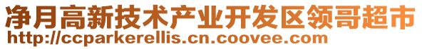 凈月高新技術產業開發區領哥超市