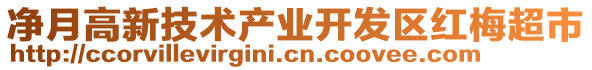 凈月高新技術(shù)產(chǎn)業(yè)開發(fā)區(qū)紅梅超市