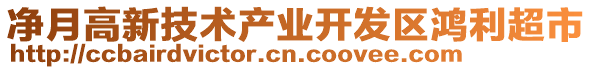 凈月高新技術(shù)產(chǎn)業(yè)開發(fā)區(qū)鴻利超市