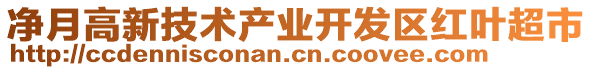 凈月高新技術(shù)產(chǎn)業(yè)開發(fā)區(qū)紅葉超市