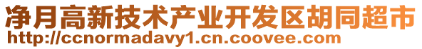 凈月高新技術(shù)產(chǎn)業(yè)開(kāi)發(fā)區(qū)胡同超市