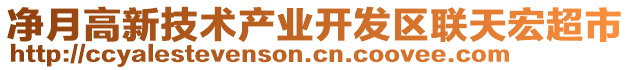 凈月高新技術(shù)產(chǎn)業(yè)開發(fā)區(qū)聯(lián)天宏超市