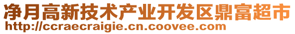 凈月高新技術(shù)產(chǎn)業(yè)開(kāi)發(fā)區(qū)鼎富超市