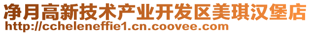 凈月高新技術(shù)產(chǎn)業(yè)開(kāi)發(fā)區(qū)美琪漢堡店