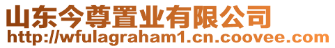 山東今尊置業(yè)有限公司