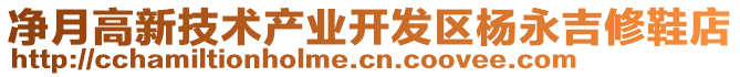 凈月高新技術(shù)產(chǎn)業(yè)開發(fā)區(qū)楊永吉修鞋店