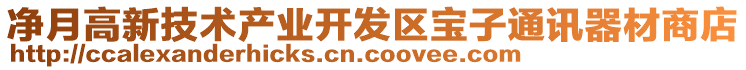 凈月高新技術(shù)產(chǎn)業(yè)開發(fā)區(qū)寶子通訊器材商店