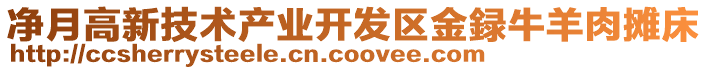 凈月高新技術(shù)產(chǎn)業(yè)開發(fā)區(qū)金録牛羊肉攤床