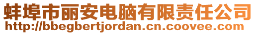 蚌埠市麗安電腦有限責任公司