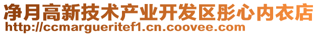 凈月高新技術(shù)產(chǎn)業(yè)開發(fā)區(qū)彤心內(nèi)衣店