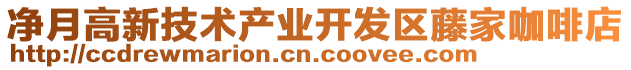 凈月高新技術(shù)產(chǎn)業(yè)開發(fā)區(qū)藤家咖啡店