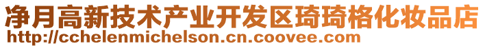 凈月高新技術(shù)產(chǎn)業(yè)開(kāi)發(fā)區(qū)琦琦格化妝品店