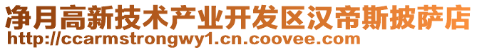 凈月高新技術(shù)產(chǎn)業(yè)開發(fā)區(qū)漢帝斯披薩店