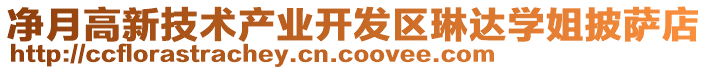 凈月高新技術產業開發區琳達學姐披薩店
