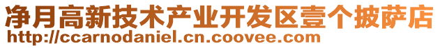 凈月高新技術(shù)產(chǎn)業(yè)開發(fā)區(qū)壹個(gè)披薩店