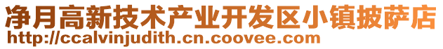 凈月高新技術(shù)產(chǎn)業(yè)開發(fā)區(qū)小鎮(zhèn)披薩店