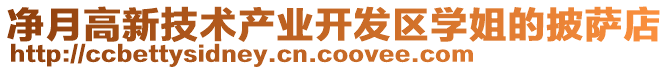 凈月高新技術(shù)產(chǎn)業(yè)開發(fā)區(qū)學(xué)姐的披薩店