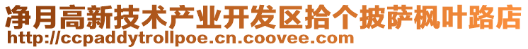 凈月高新技術(shù)產(chǎn)業(yè)開發(fā)區(qū)拾個(gè)披薩楓葉路店