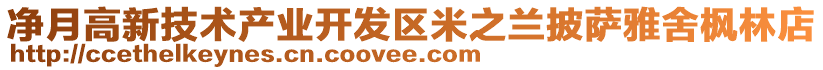 凈月高新技術(shù)產(chǎn)業(yè)開發(fā)區(qū)米之蘭披薩雅舍楓林店