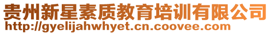 貴州新星素質教育培訓有限公司