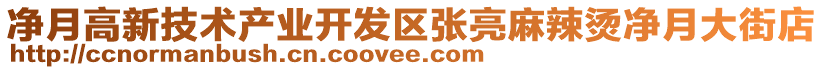 凈月高新技術產業(yè)開發(fā)區(qū)張亮麻辣燙凈月大街店