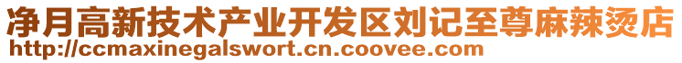 凈月高新技術(shù)產(chǎn)業(yè)開發(fā)區(qū)劉記至尊麻辣燙店