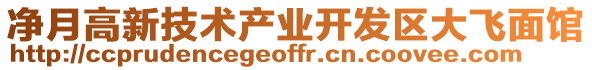 凈月高新技術(shù)產(chǎn)業(yè)開發(fā)區(qū)大飛面館