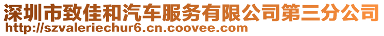 深圳市致佳和汽車服務有限公司第三分公司