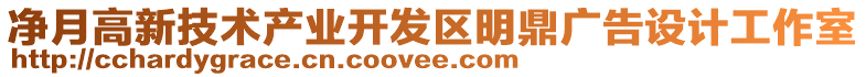 凈月高新技術(shù)產(chǎn)業(yè)開發(fā)區(qū)明鼎廣告設(shè)計工作室