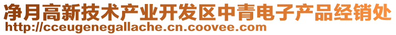 凈月高新技術(shù)產(chǎn)業(yè)開(kāi)發(fā)區(qū)中青電子產(chǎn)品經(jīng)銷(xiāo)處