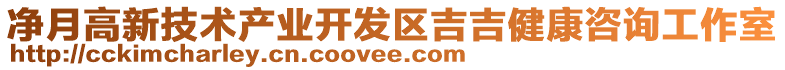 凈月高新技術(shù)產(chǎn)業(yè)開發(fā)區(qū)吉吉健康咨詢工作室