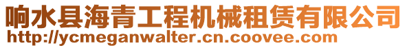 響水縣海青工程機械租賃有限公司