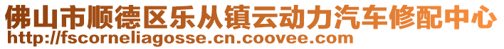 佛山市順德區(qū)樂從鎮(zhèn)云動(dòng)力汽車修配中心