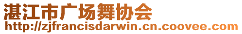 湛江市廣場舞協(xié)會