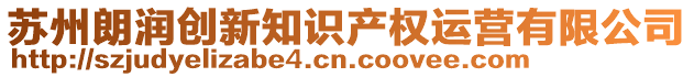 蘇州朗潤(rùn)創(chuàng)新知識(shí)產(chǎn)權(quán)運(yùn)營(yíng)有限公司