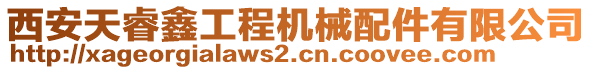 西安天睿鑫工程機械配件有限公司