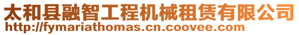 太和縣融智工程機械租賃有限公司