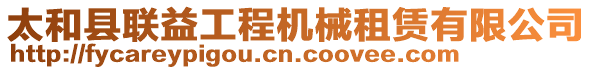太和縣聯益工程機械租賃有限公司