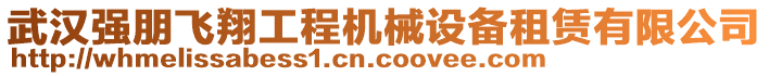 武漢強朋飛翔工程機械設備租賃有限公司