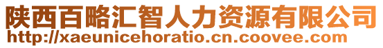 陜西百略匯智人力資源有限公司