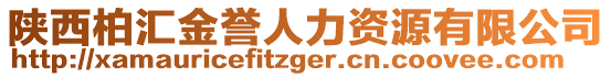 陜西柏匯金譽(yù)人力資源有限公司