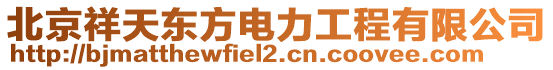 北京祥天東方電力工程有限公司