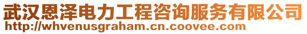 武漢恩澤電力工程咨詢服務(wù)有限公司