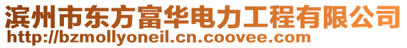 濱州市東方富華電力工程有限公司